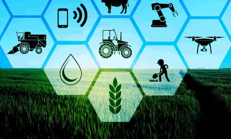 مشاغل روستایی چه اهمیتی دارند؟