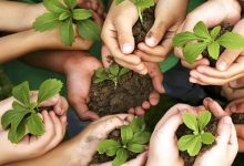 موشن گرافی همیار طبیعت