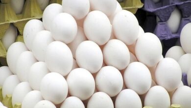 نرخ تخم مرغ را اعلام کرده‌ایم