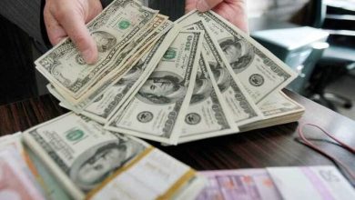 نرخ دلار در بازار ارز تجاری ثابت ماند