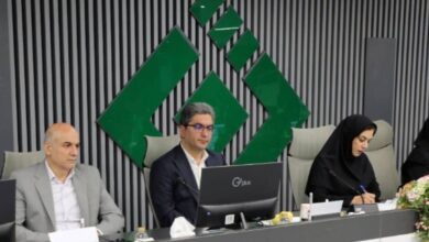 شفافیت و توسعه زیرساختها؛ دو پیشنیاز گسترش بیمههای متصل به دارایی در ایران