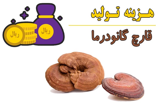 هزینه پرورش قارچ گانودرما