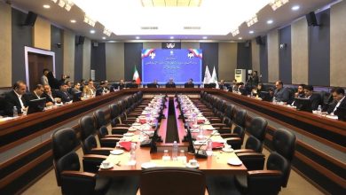 همت طرح های سرمایه گذاری در دست اجرا در منطقه آزاد انزلی