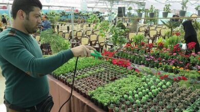 چرا خوداشتغالی هنوز «شغل واقعی» محسوب نمی‌شود؟