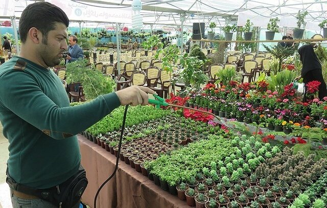 چرا خوداشتغالی هنوز «شغل واقعی» محسوب نمی‌شود؟