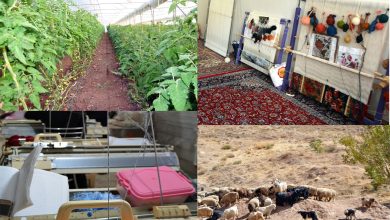 کارآفرینی روستایی از ارکان اساسی توسعه پایدار