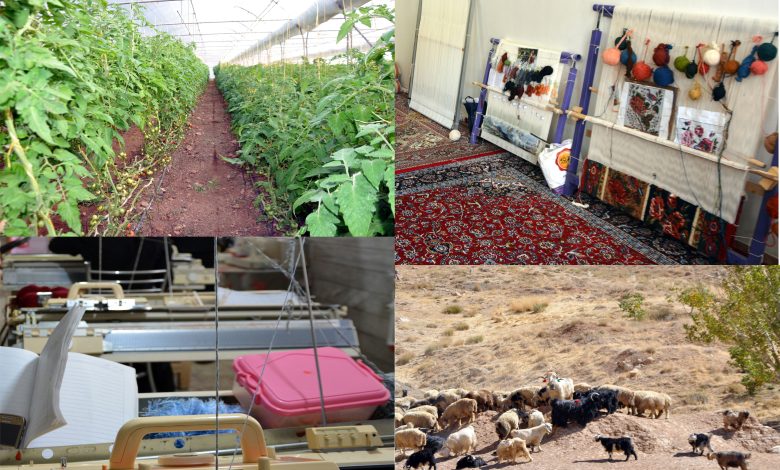 کارآفرینی روستایی از ارکان اساسی توسعه پایدار