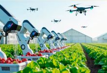 کشاورزی هوشمند؛ تنها راه نجات ایران سبز