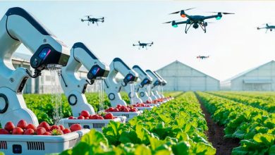 کشاورزی هوشمند؛ تنها راه نجات ایران سبز