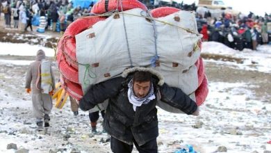 کولبری برای لقمه ای نان؛ شغل پایدار جایگزین کولبری می‌شود