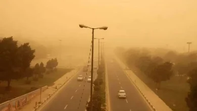 تداوم وزش باد و گرد و خاک در اکثر استان‌ها