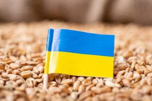 اوکراین و روسیه 29 درصد از صادرات گندم جهان را در اختیار دارند.